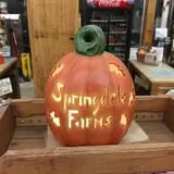 Springdale Farms Corn Maze & Hayrides photo