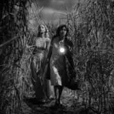 Springdale Farms Corn Maze & Hayrides photo