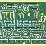 Springdale Farms Corn Maze & Hayrides photo