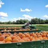 Springdale Farms Corn Maze & Hayrides photo