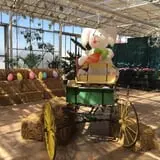 Springdale Farms Corn Maze & Hayrides photo