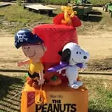 Springdale Farms Corn Maze & Hayrides photo