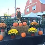 Springdale Farms Corn Maze & Hayrides photo