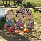 Springdale Farms Corn Maze & Hayrides photo