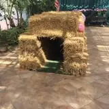 Springdale Farms Corn Maze & Hayrides photo
