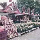 Springdale Farms Corn Maze & Hayrides photo