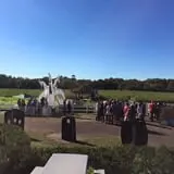 Springdale Farms Corn Maze & Hayrides photo