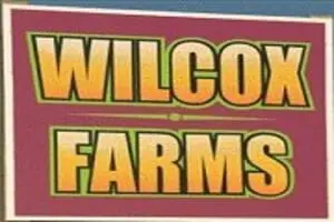 Wilcox Farms Corn Maze