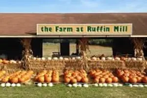 Pumpkin Patch at Ruffin Mill