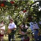 Pome on the Range Orchard & Winery photo