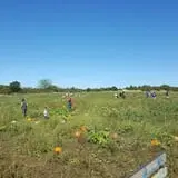 Pome on the Range Orchard & Winery photo