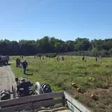 Pome on the Range Orchard & Winery photo