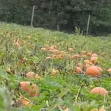 Wallkill View Farm photo