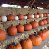 Wallkill View Farm photo