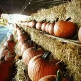 Wallkill View Farm photo