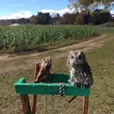 Wallkill View Farm photo