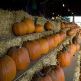 Wallkill View Farm photo