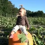 Wallkill View Farm photo