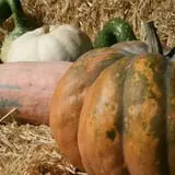Wallkill View Farm photo