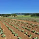 Wallkill View Farm photo