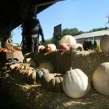 Wallkill View Farm photo