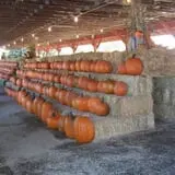Wallkill View Farm photo
