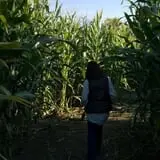 Wallkill View Farm photo