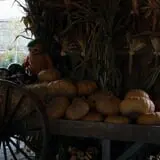 Wallkill View Farm photo