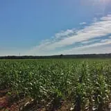 Wallkill View Farm photo
