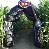 Wallkill View Farm photo