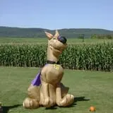 Wallkill View Farm photo