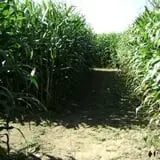 Wallkill View Farm photo