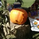 Wallkill View Farm photo