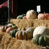 Wallkill View Farm photo