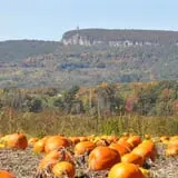 Wallkill View Farm photo