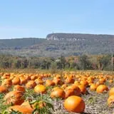 Wallkill View Farm photo
