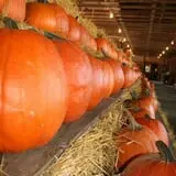 Wallkill View Farm photo