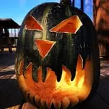 Hanehan Family Pumpkins Saratoga photo