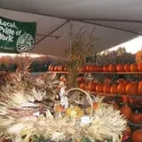 Hanehan Family Pumpkins Saratoga photo