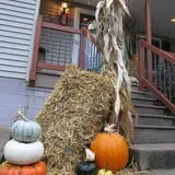 Hanehan Family Pumpkins Saratoga photo