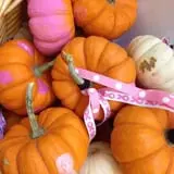 Hanehan Family Pumpkins Saratoga photo