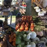 Hanehan Family Pumpkins Saratoga photo