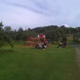 Rogers Family Orchards photo