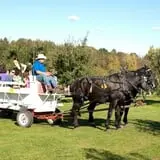 Rogers Family Orchards photo