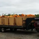 Rogers Family Orchards photo