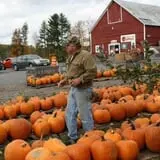 Rogers Family Orchards photo
