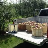 Rogers Family Orchards photo