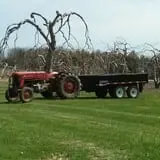 Rogers Family Orchards photo