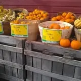 Rogers Family Orchards photo