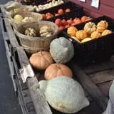 Rogers Family Orchards photo